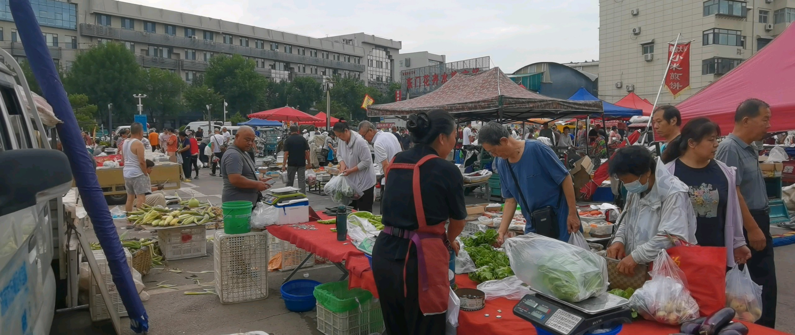 早市购物