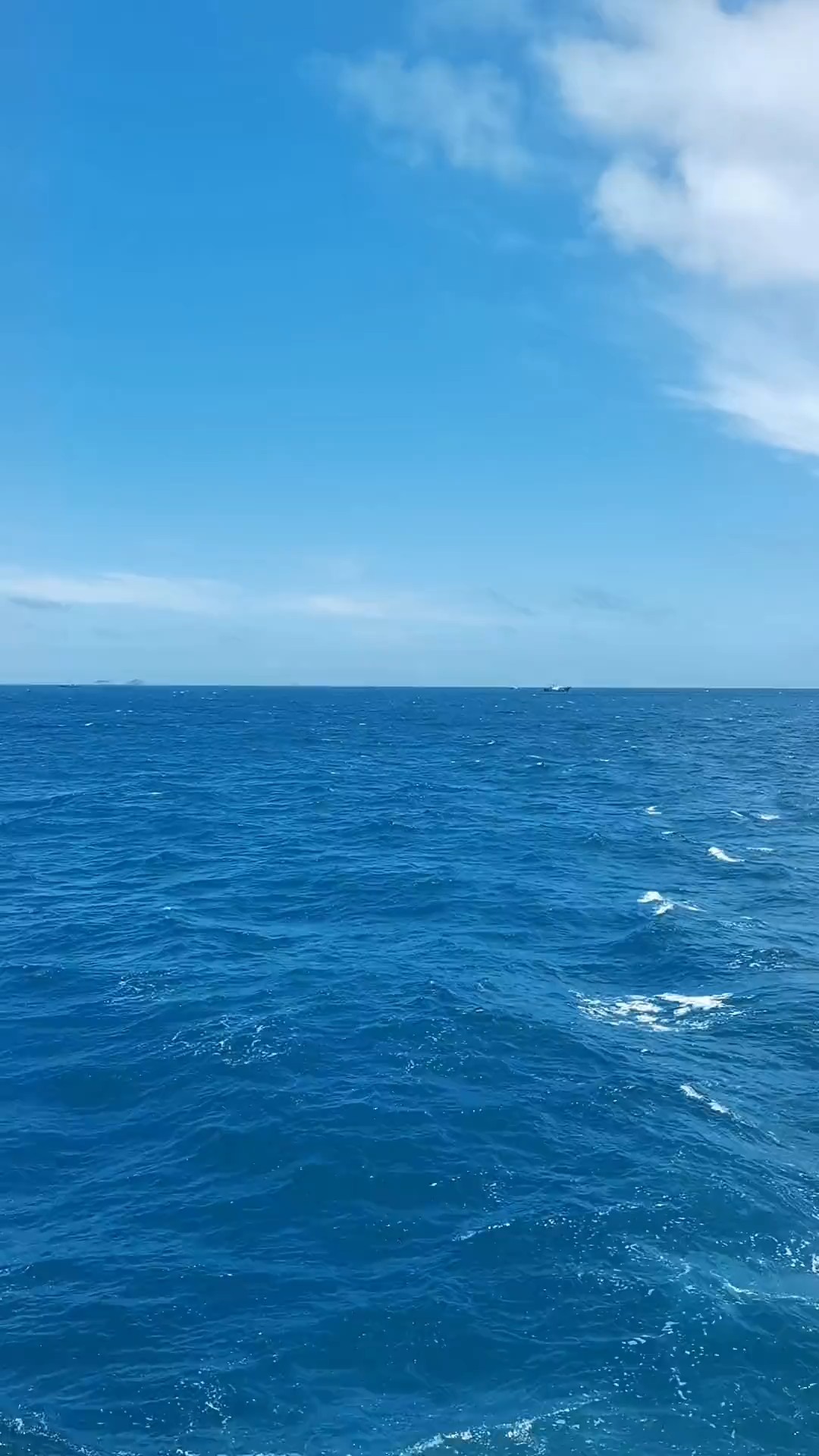 一望无际的大海，听一曲风流浪的街道，心里有一种说不出的味道
