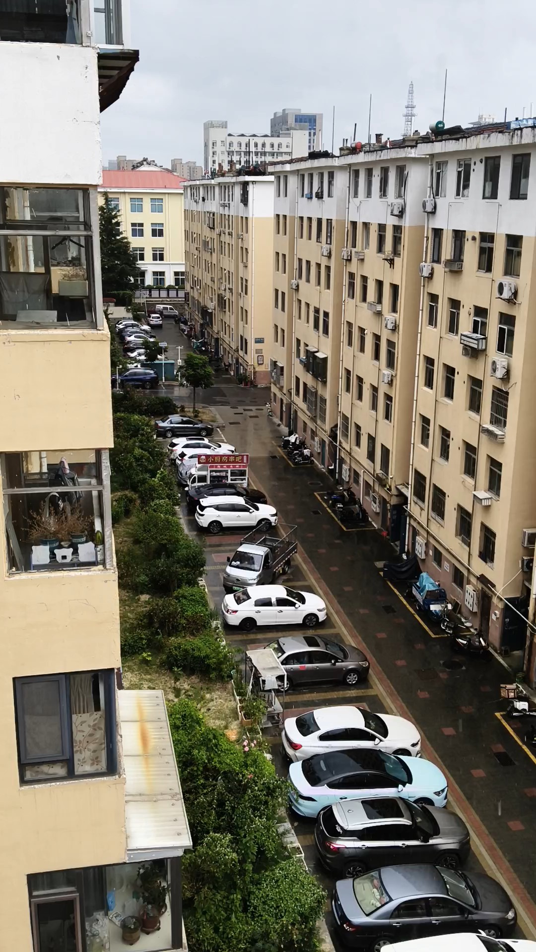 威海久旱逢甘霖，急雨洗涤街巷新。