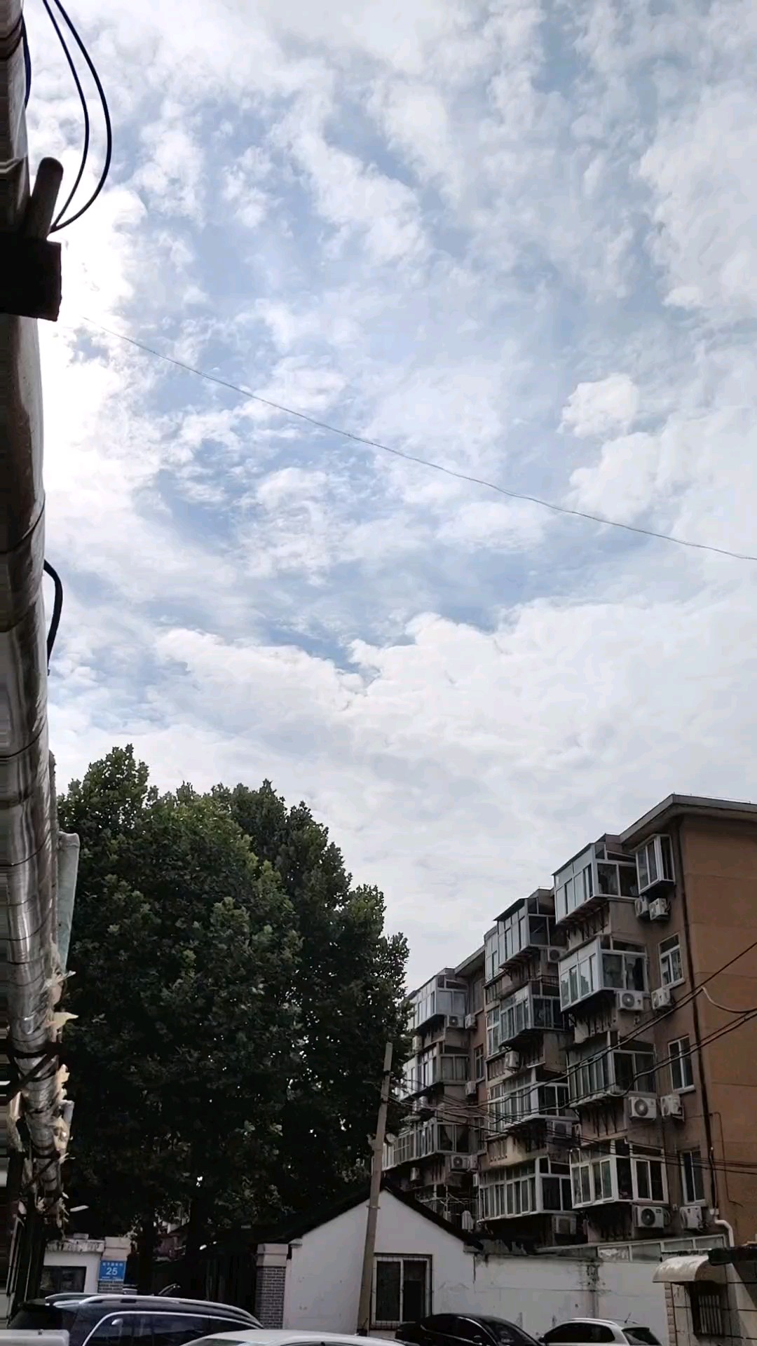 天阴沉沉雨没下，下午三点露蓝天，预报三天有雨没有变。