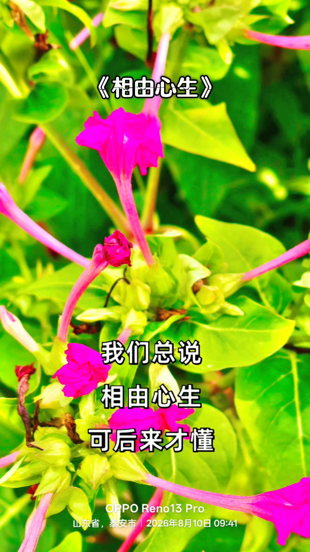 相由心生