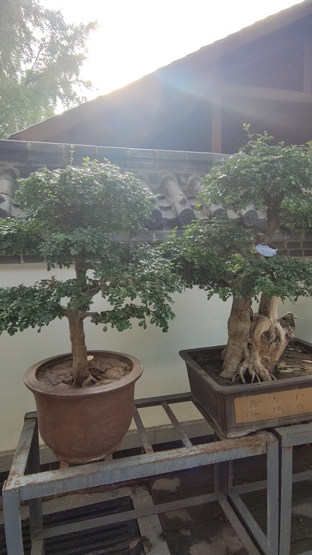 沿风公园多自在