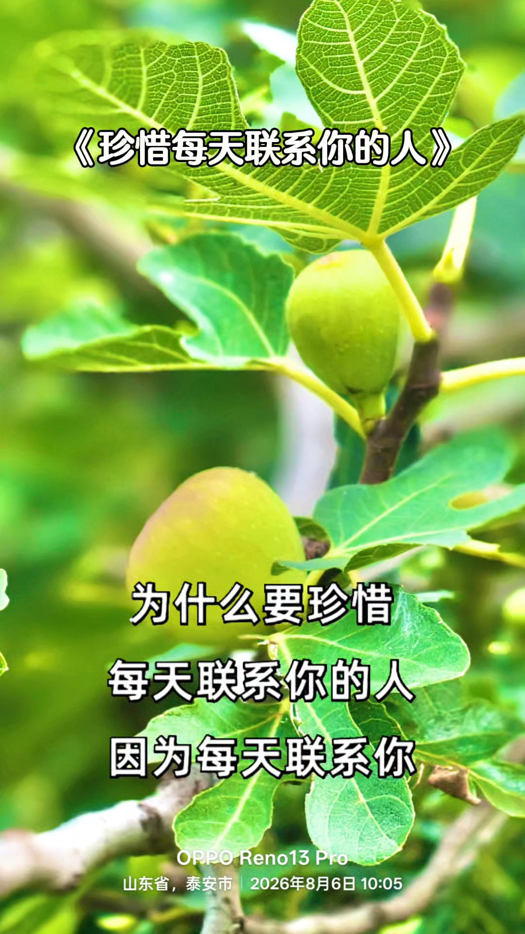 要珍惜每天联系你的人
