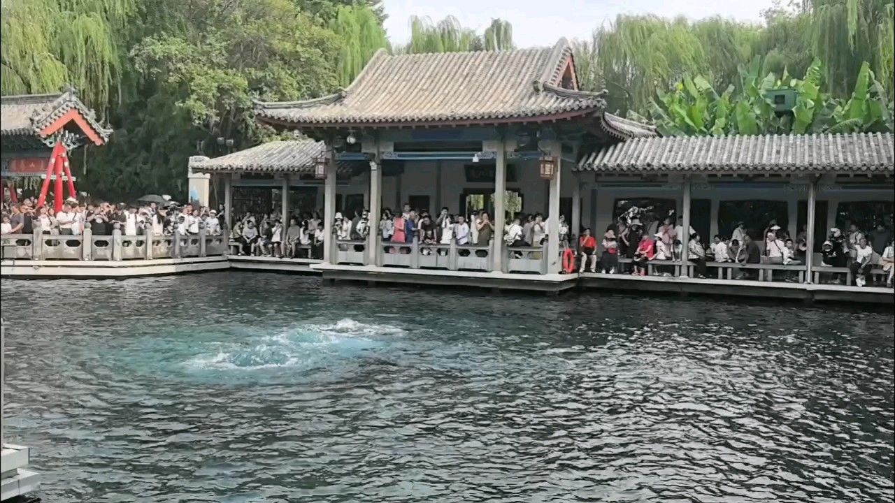 趵突泉之声，远非“叮咚”概括，是变化万千、层次丰富的“交响乐