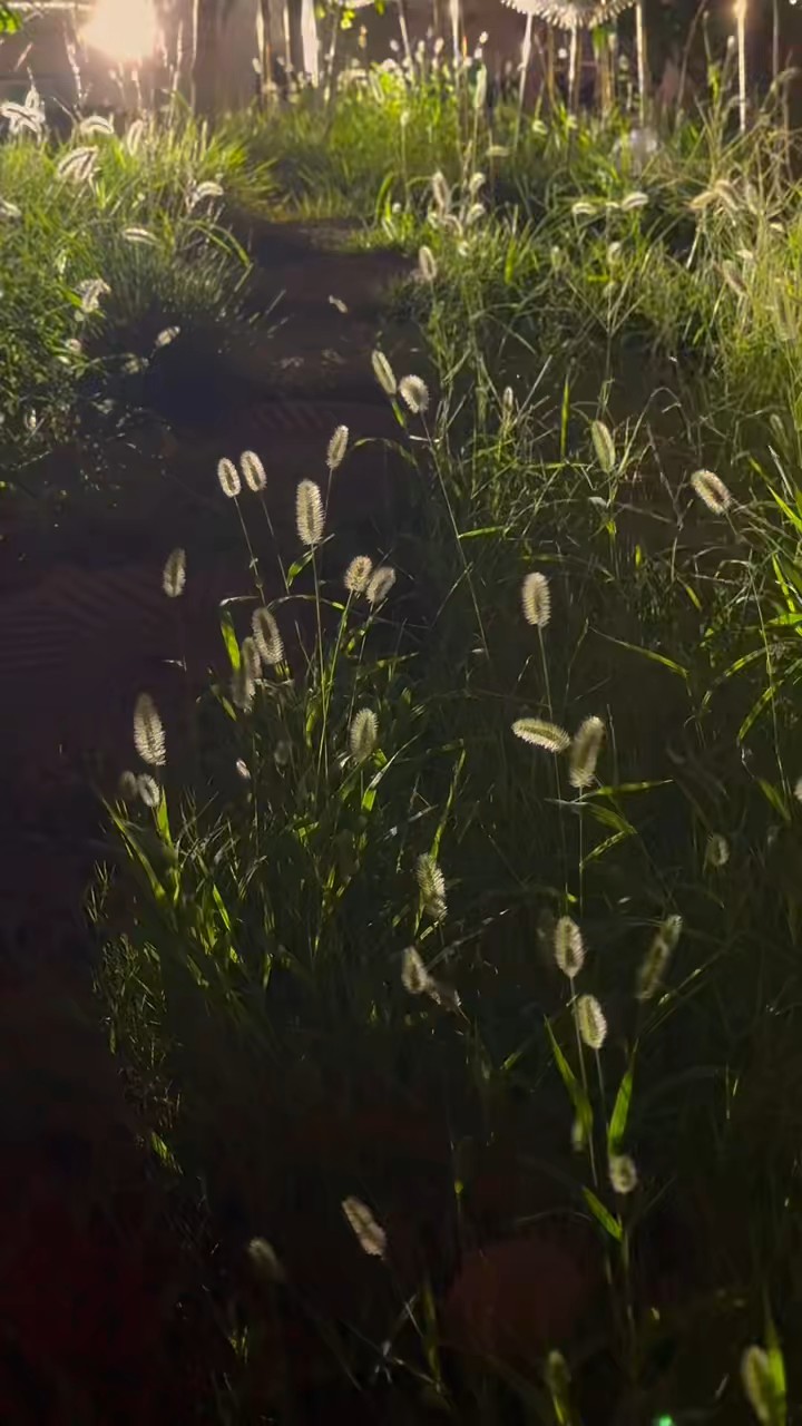 风里已经有了秋天的味道……/张捷