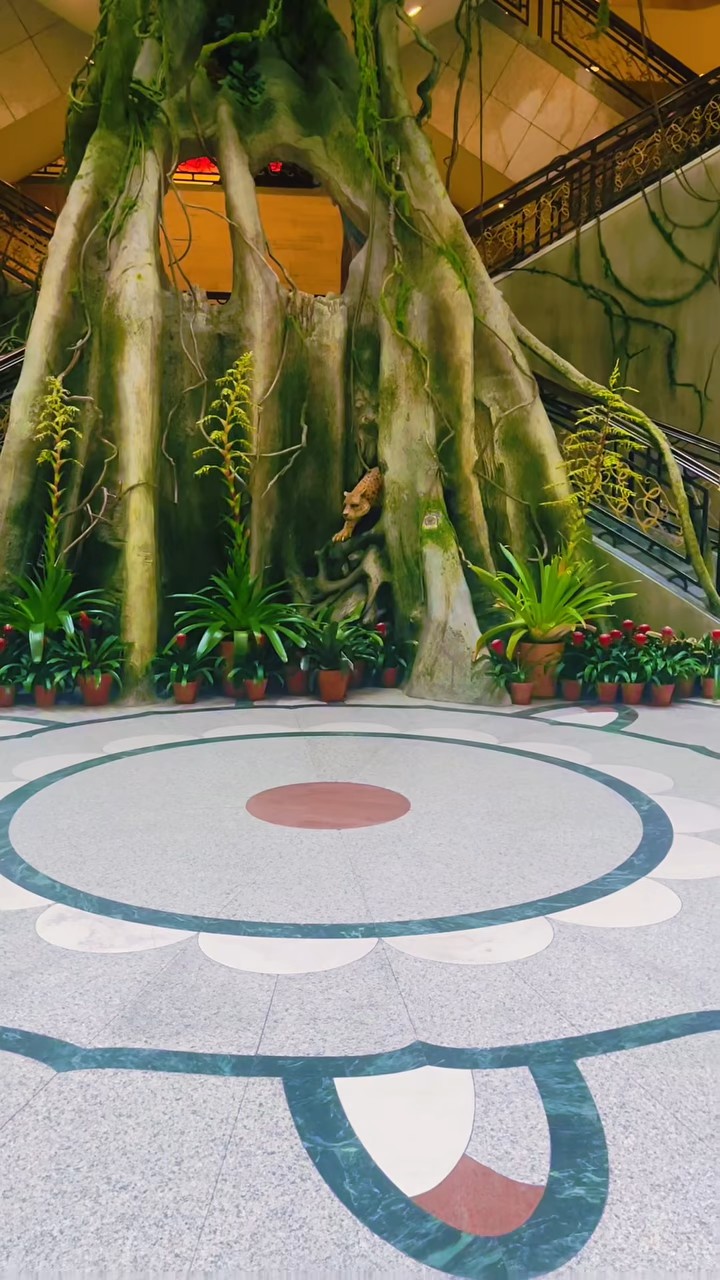 上海植物园一游，眼见大开……