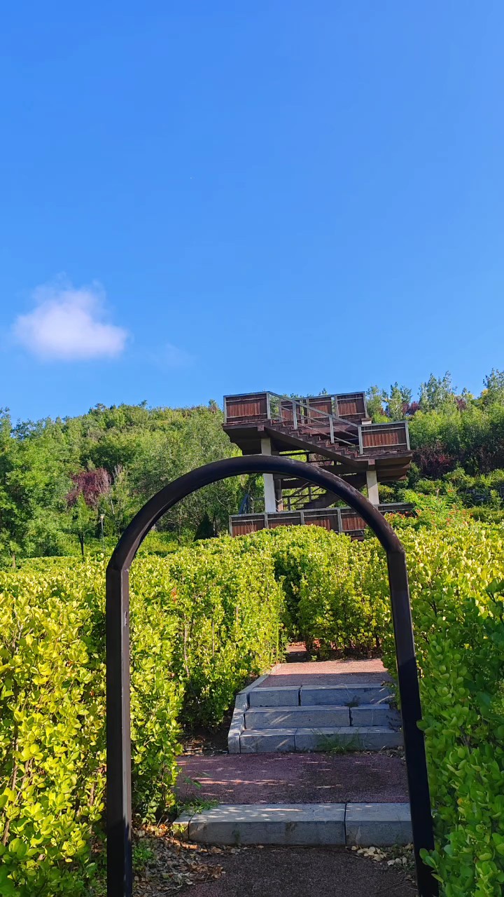 今日是全国生态日，绿水青山就是金山银山