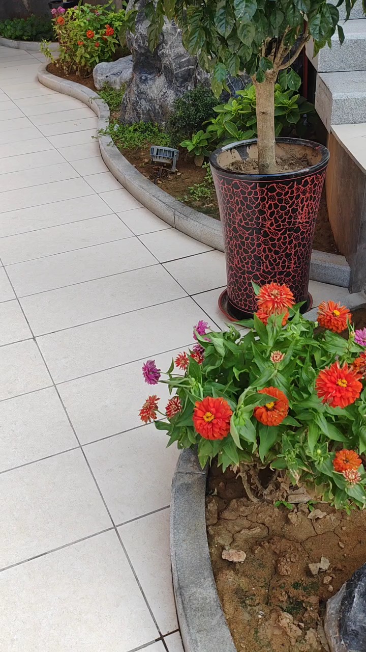凤鸣路东新建的济南菜馆环境真美