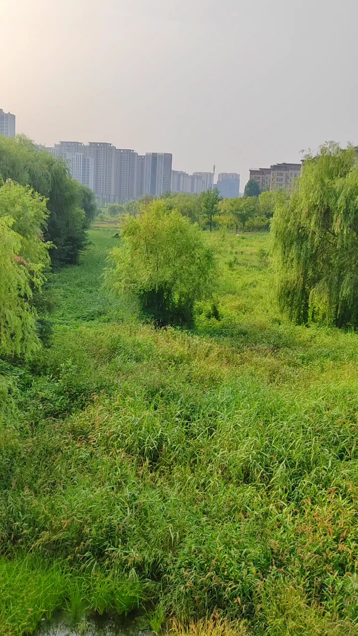 河边散步拍照观景，快乐不打烊