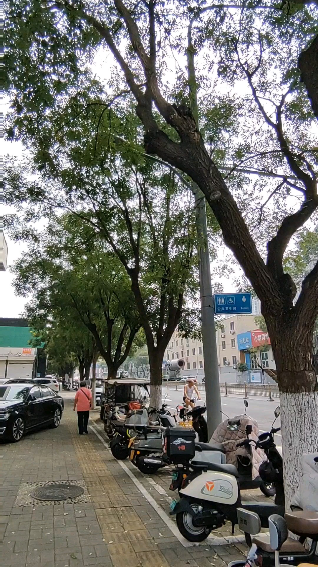 今天，和平路西段，早秋的中午。
2026-8-20