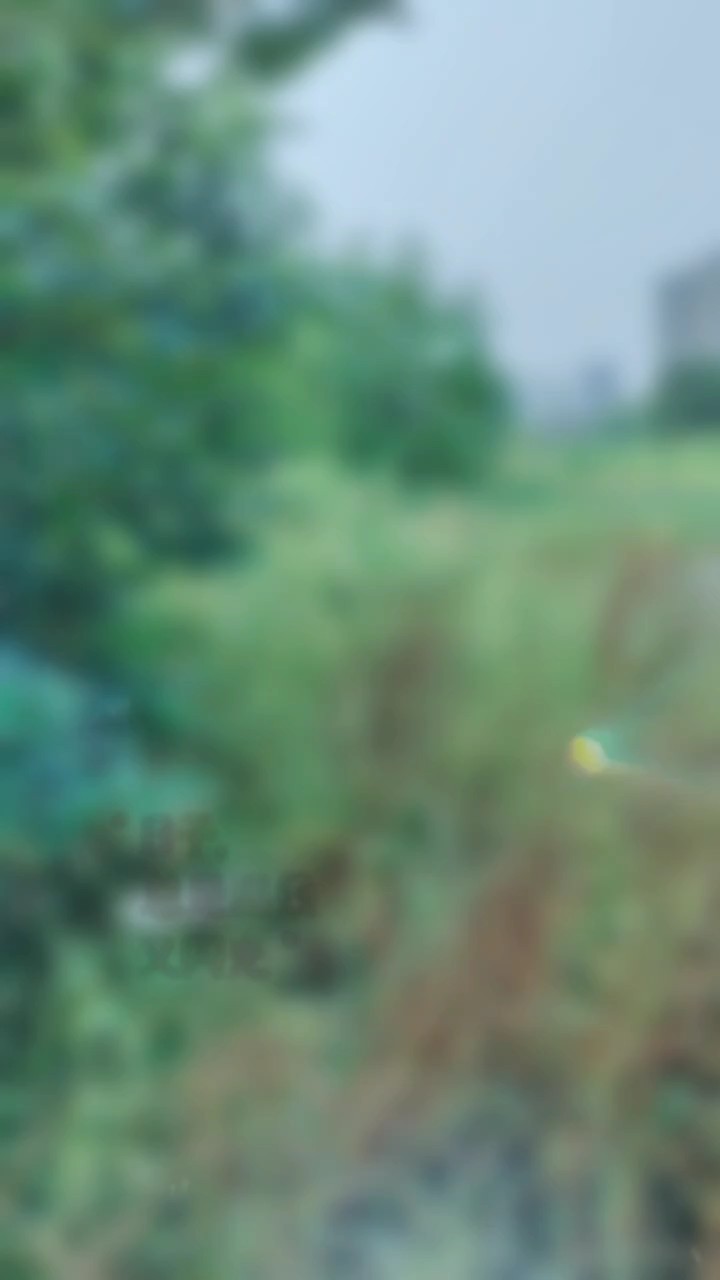 韩仓河的秋天