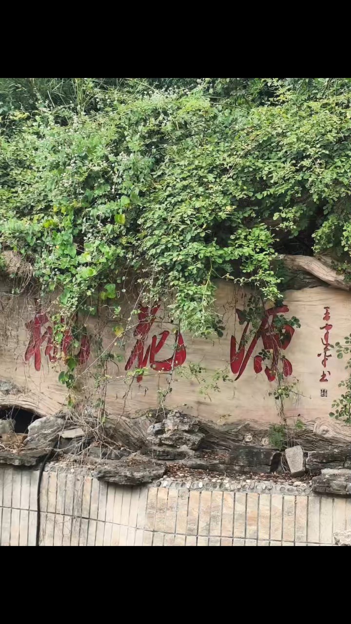 随手一拍