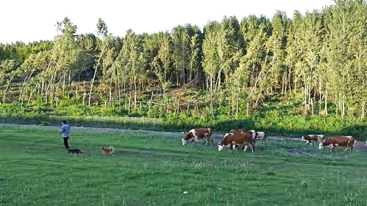 风吹草低见牛羊