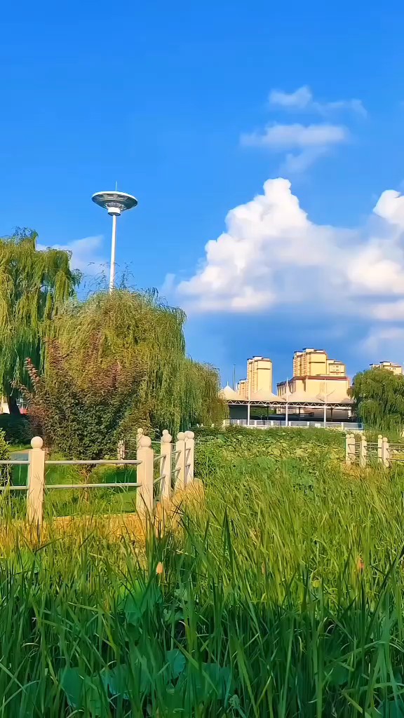 处暑到，天渐凉，秋高气爽好时光
