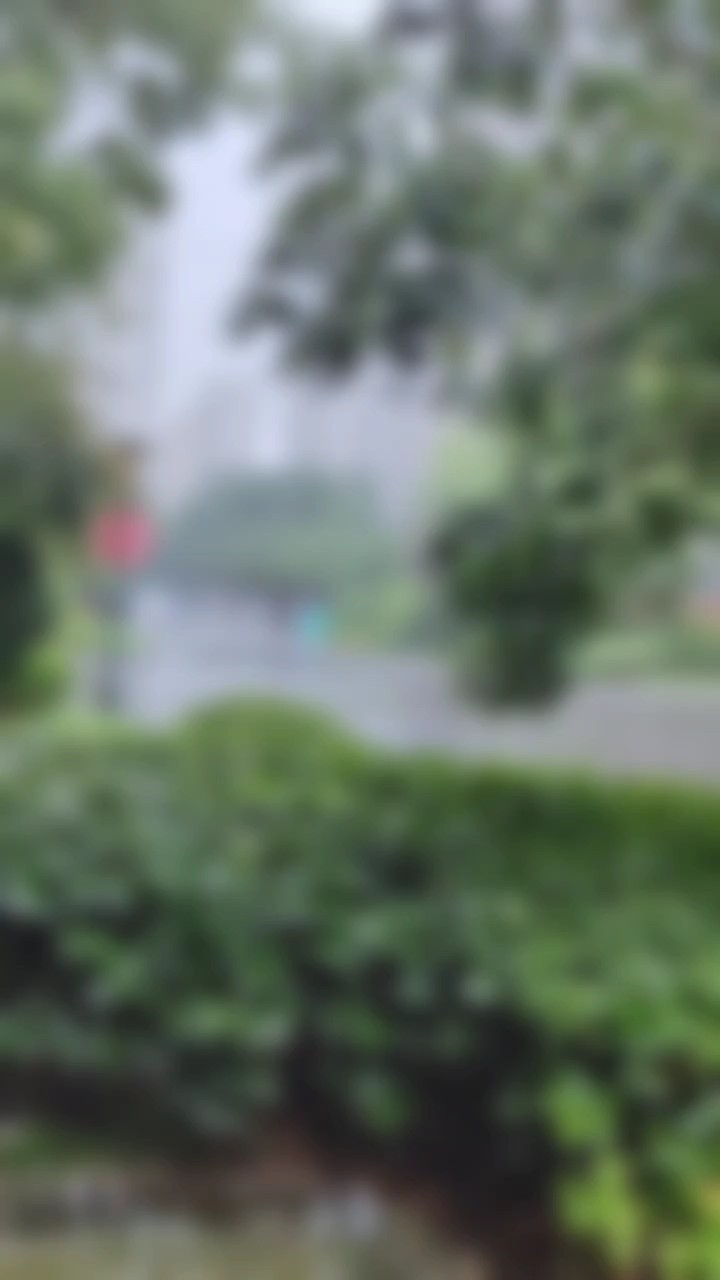雨是秋天的信使一场秋雨一场寒，有人困在雨里有人在雨里赏雨