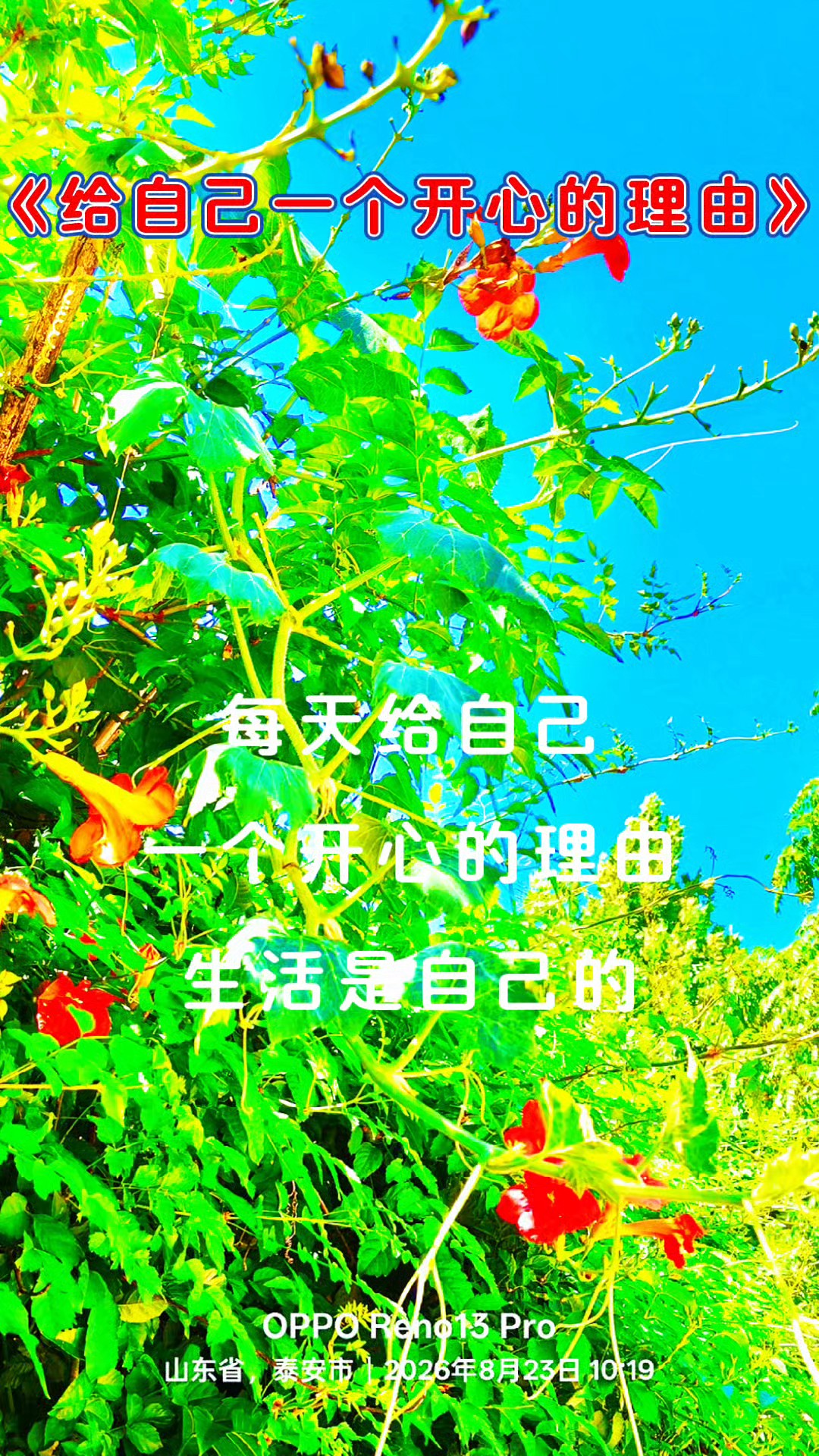 给自己一个开心的理由
