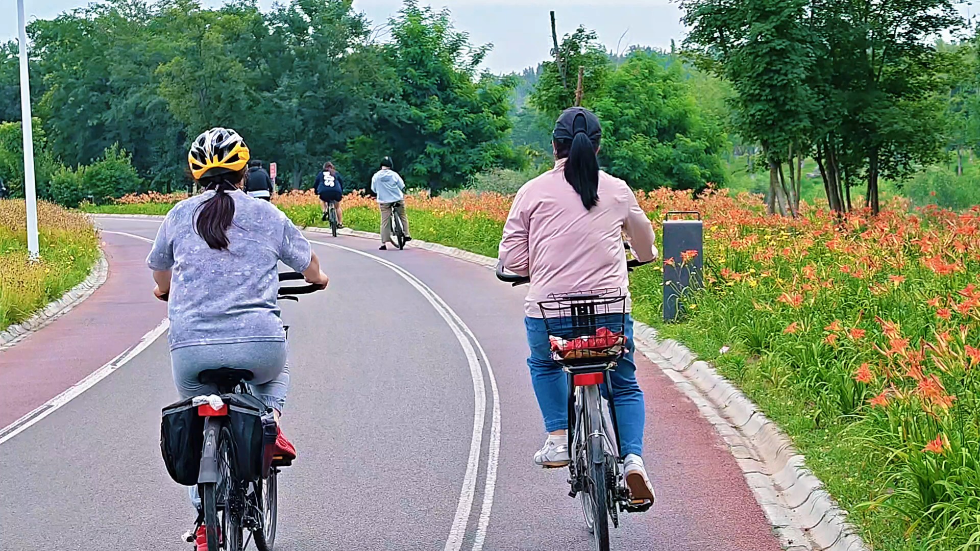 东舜河畔金针花开