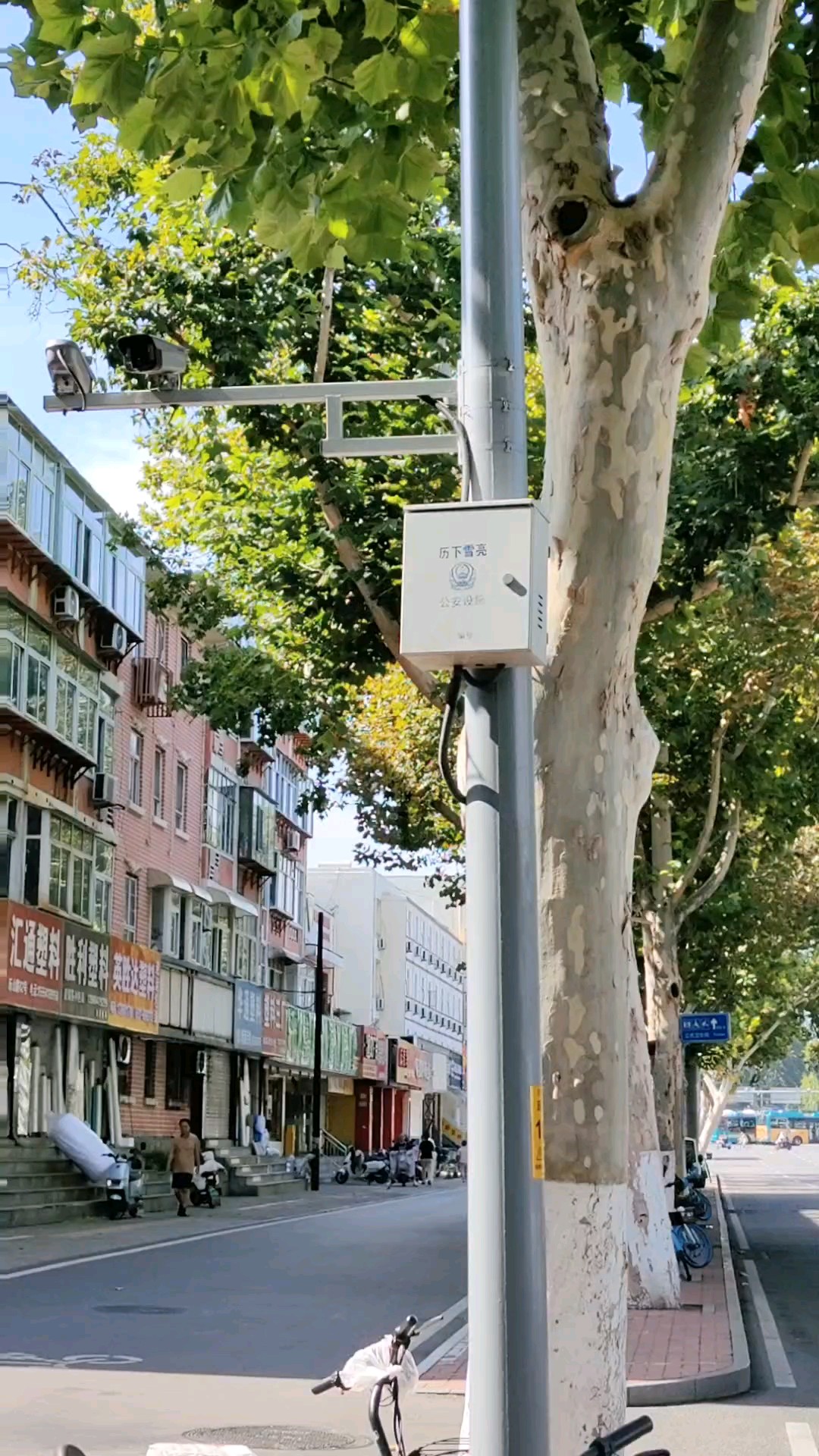 闻名齐鲁的历山路，绿荫一片。
   2026年8月25日中午