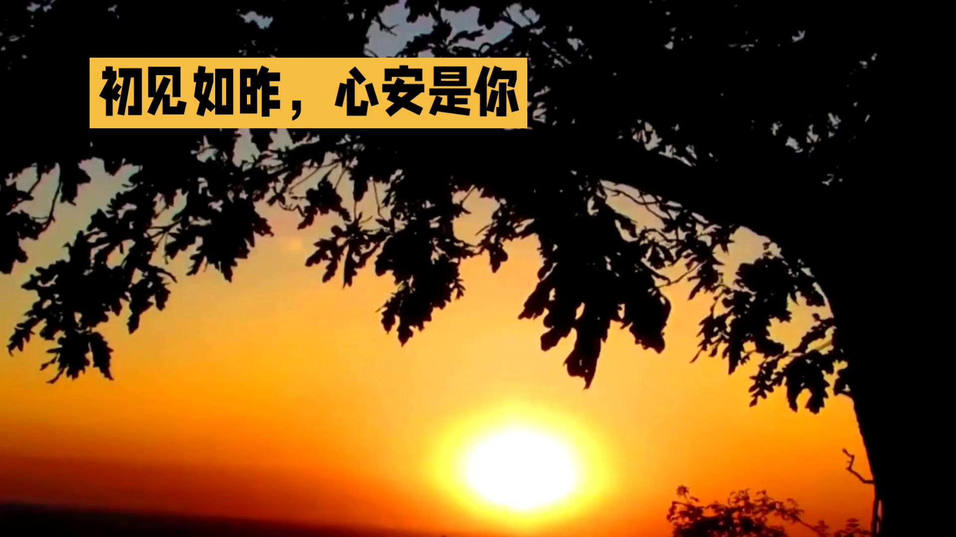 初见如昨，心安是你（AI创作）