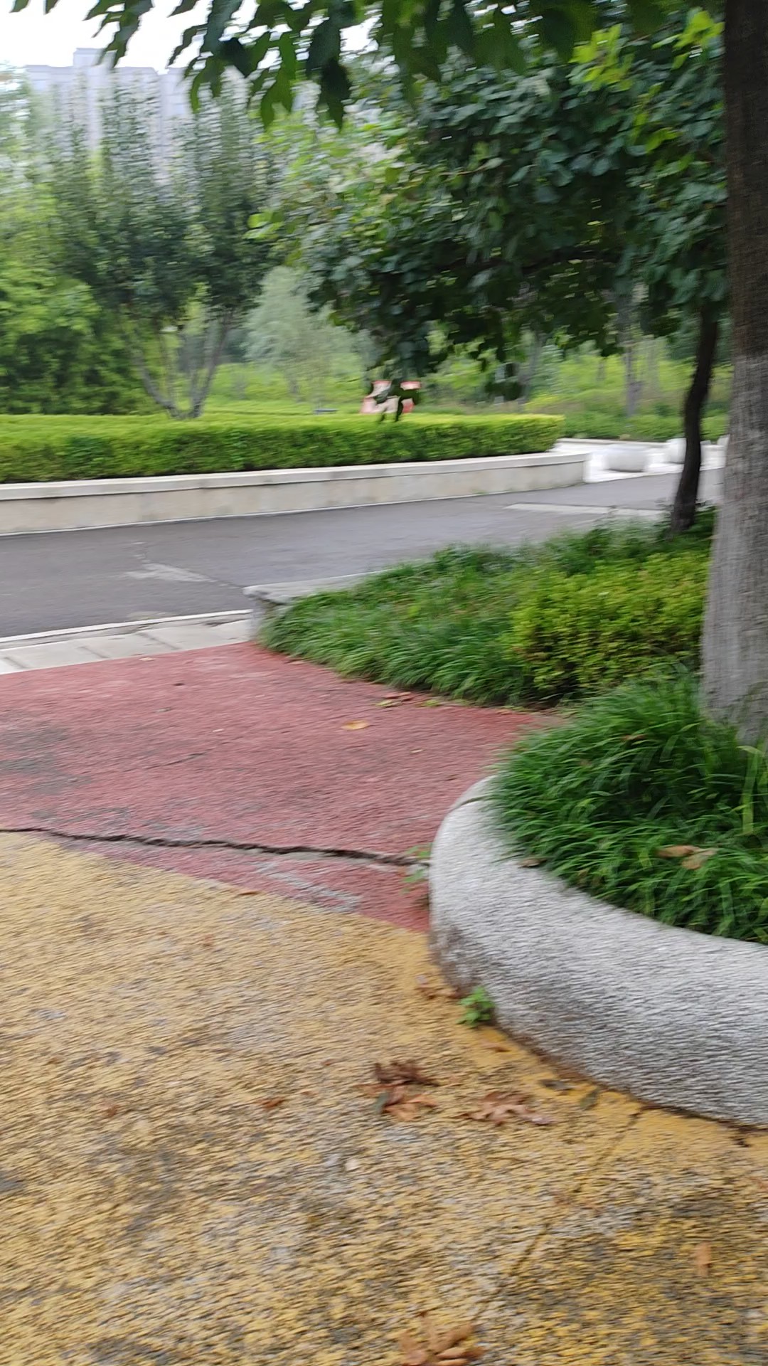 徒步山间修炼心境，只管奔赴前路眼前山花烂漫来去都要善待自己