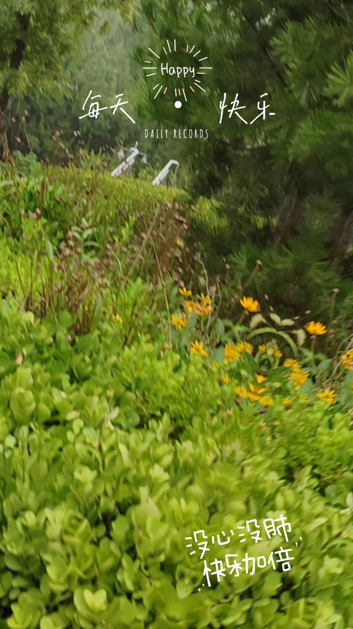旷野接纳你，允许步履迟缓允许情绪低落熬过崎岖险段花海终会相逢
