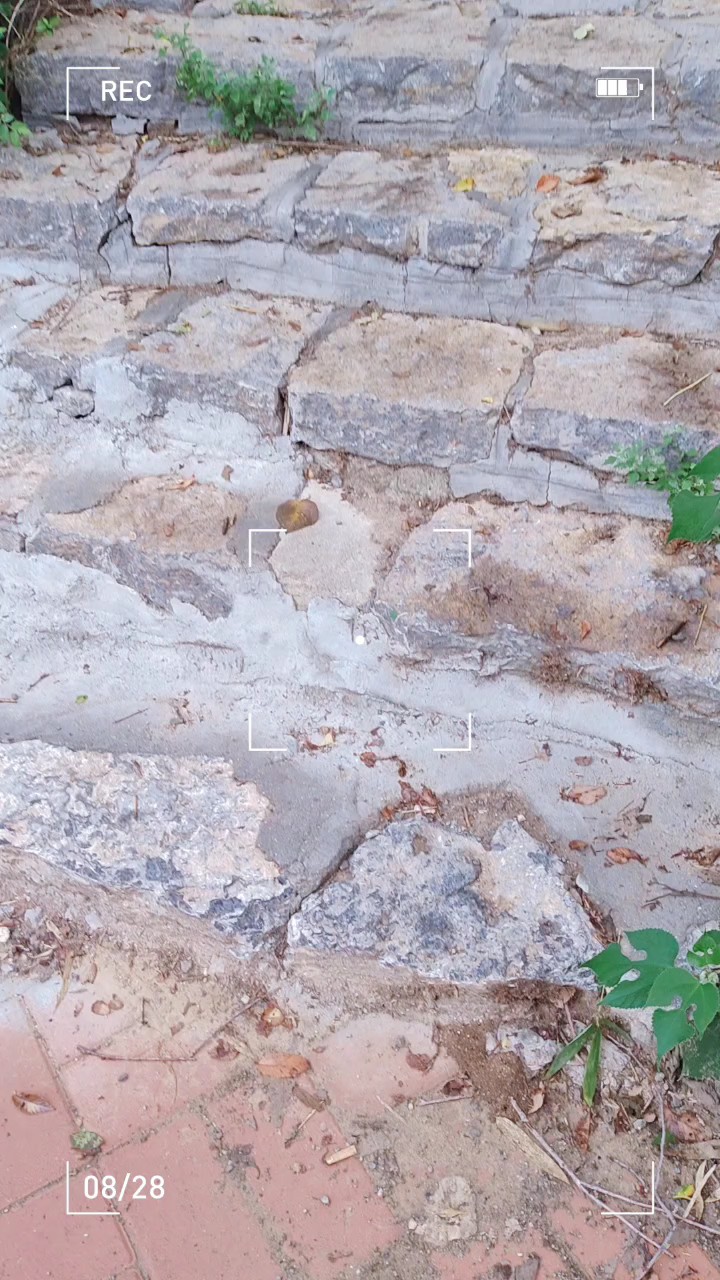 每个奔赴山野的人都藏着故事，坎坷路段咬牙前行难熬时刻慢慢自渡