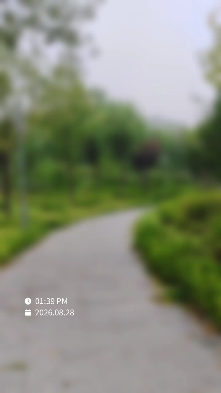 浅秋叶静美清凉风飘香，蒋山森林公园走一走品味最美的风景