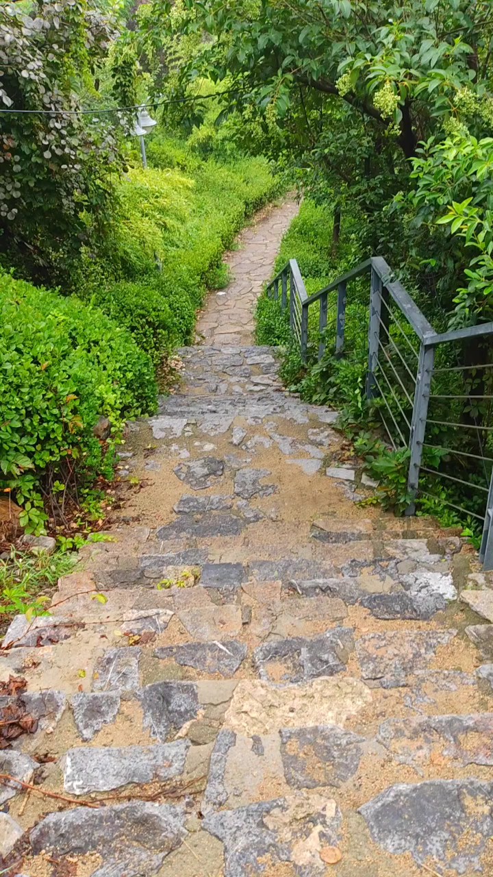 秋雨洗尘天转凉，金风拂面送秋爽翠染层林缀浅黄斑斓秋色换新装