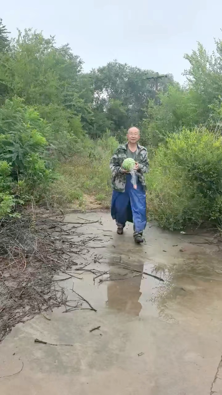 收获的喜悦