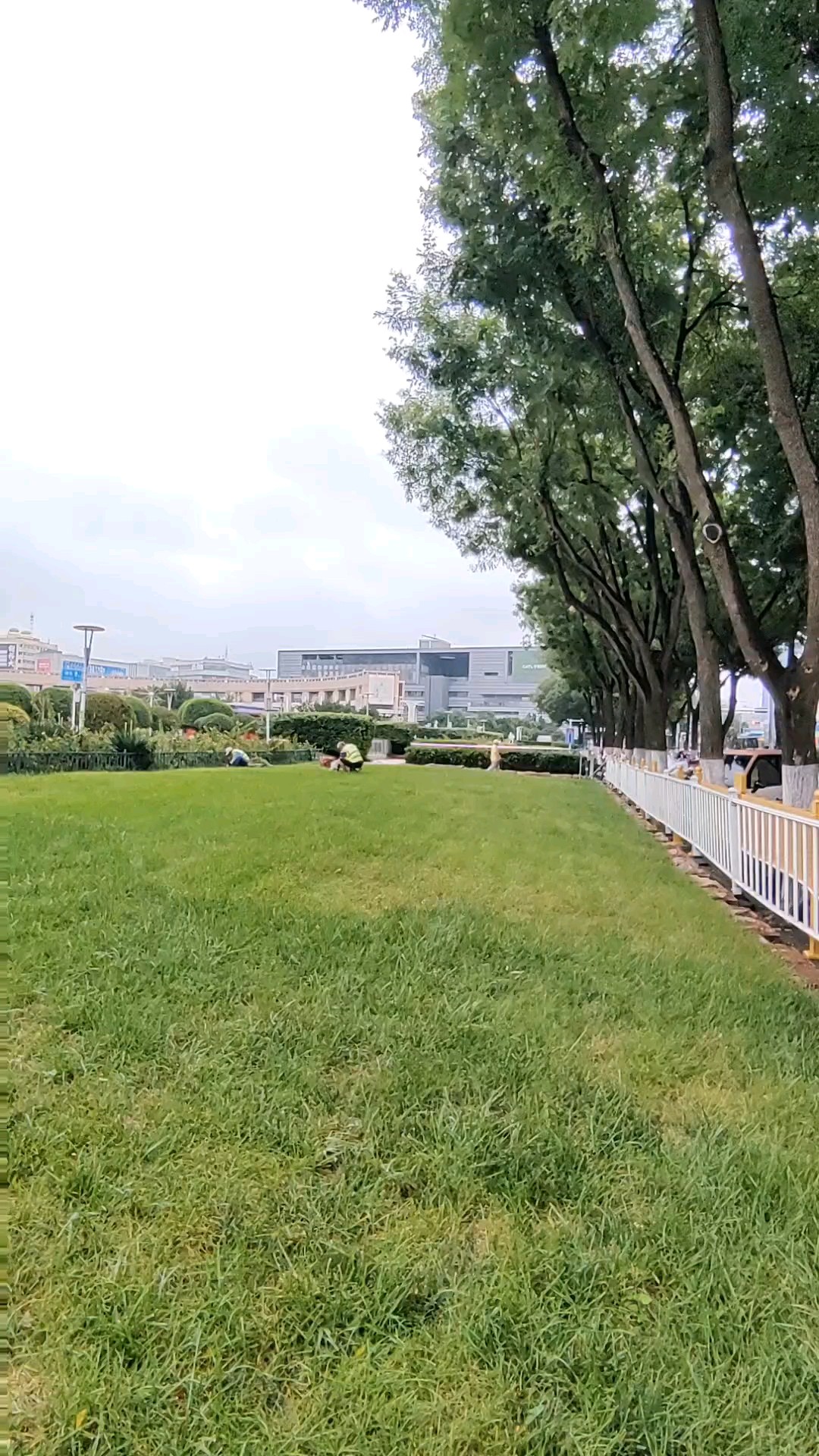 夜雨刚停秋风凉，园林工人在广场。