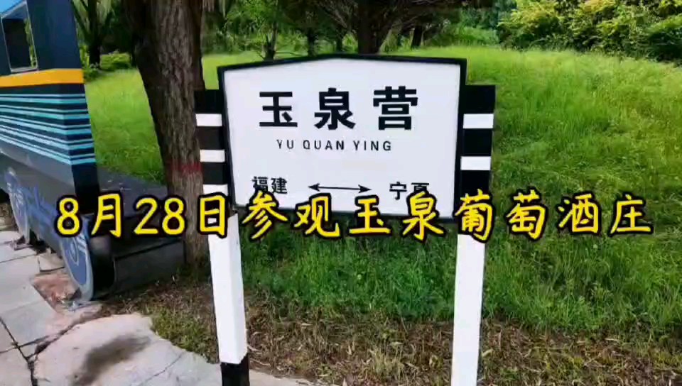 山海情定玉泉红，醉美过客西北风串串挂起吉祥意，西北行。
