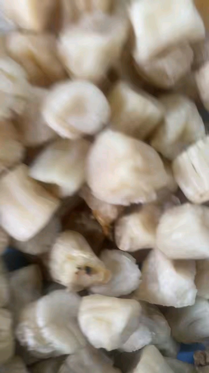 海珍品之栉孔扇贝干贝丁，怎么辨认好货行家告诉你