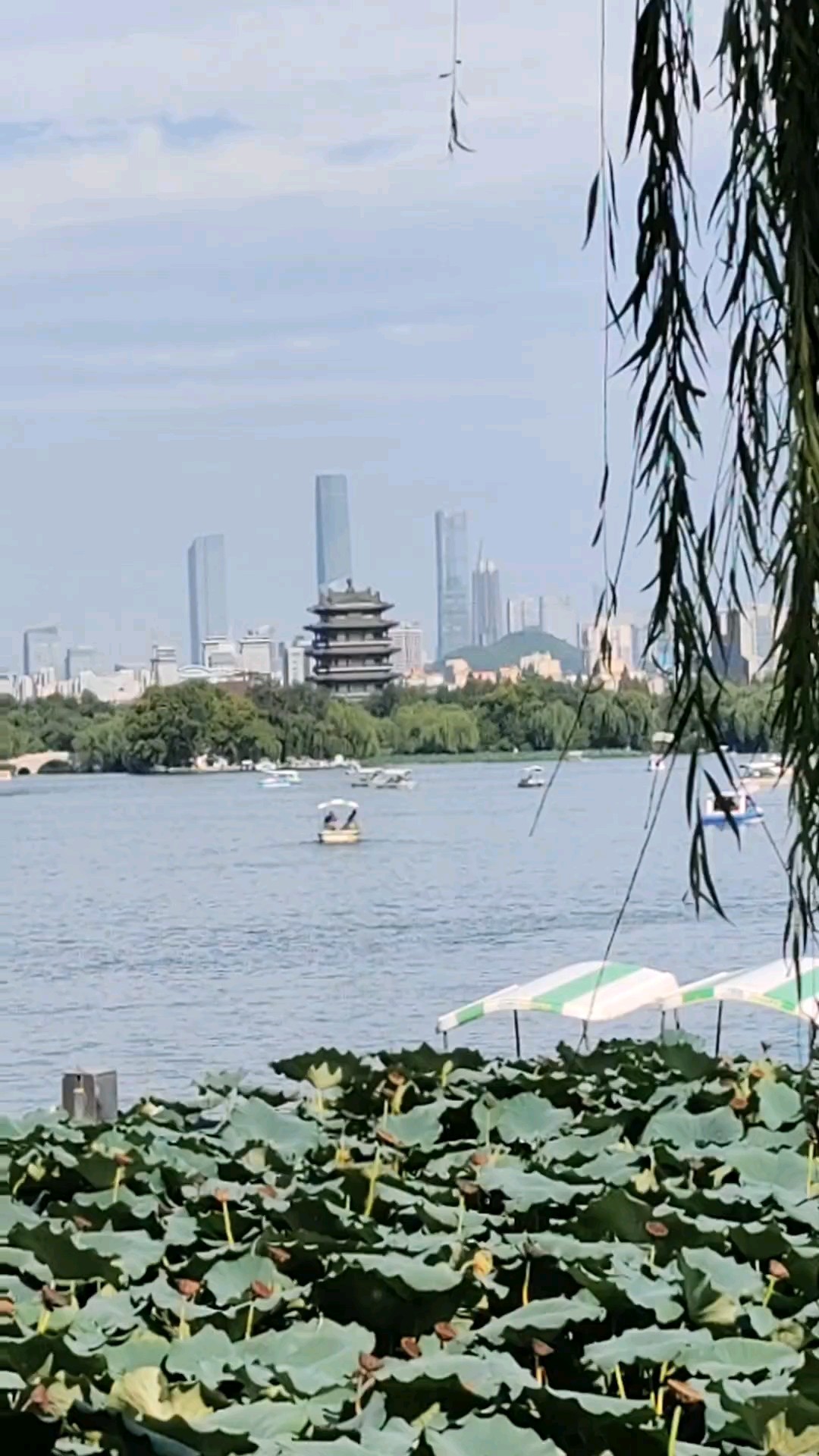 五指山前超然楼，千船争渡竞风流。2026年8月30日下午。
