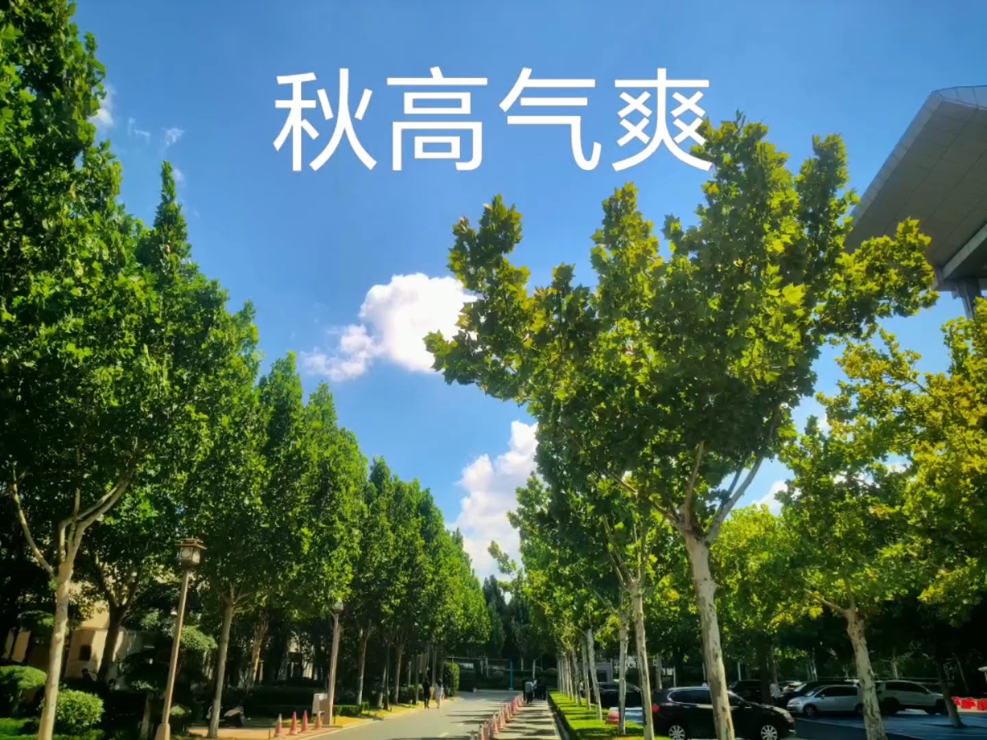秋高气爽