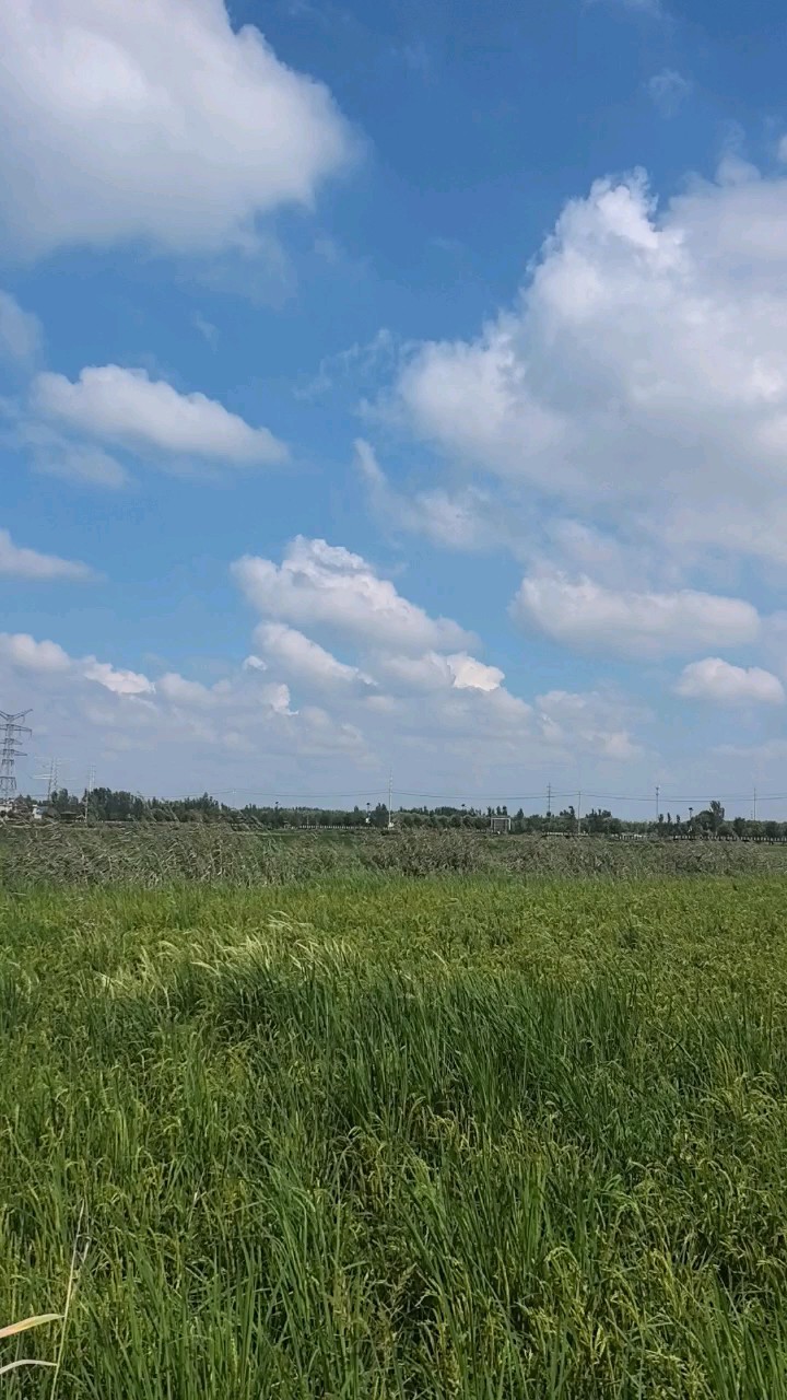 田野里的故事很丰富，那些真实发生在大地上的奋斗与生活！