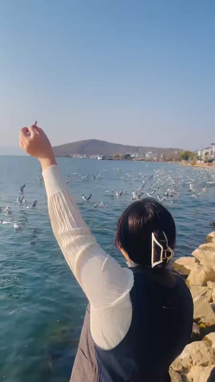 进入九月，旅游旺季已过，那就看山看水看风景看鸥翔吧！