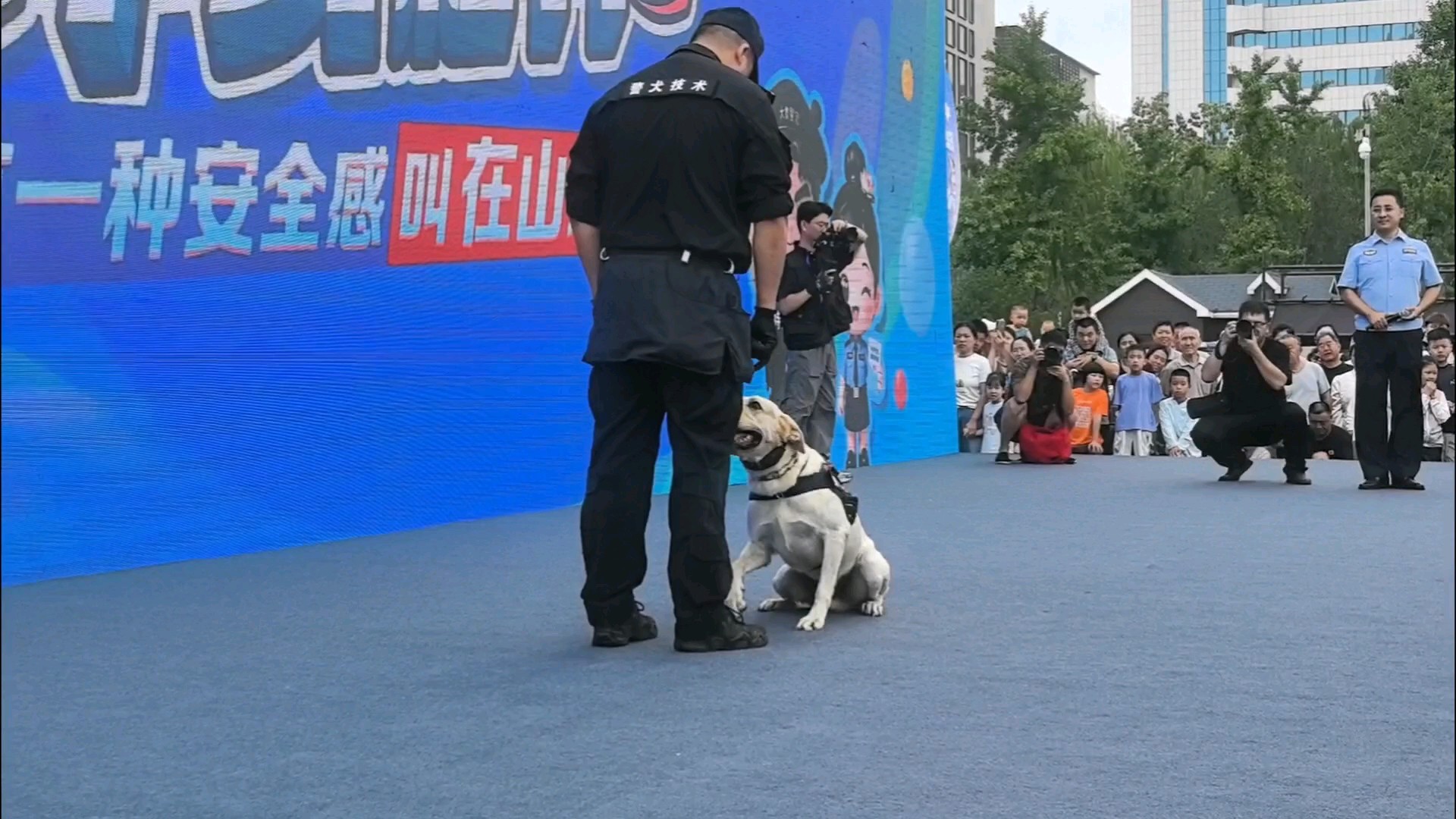 警犬要经历从“万里挑一”到日复一日训练，才能成为“公务汪”！