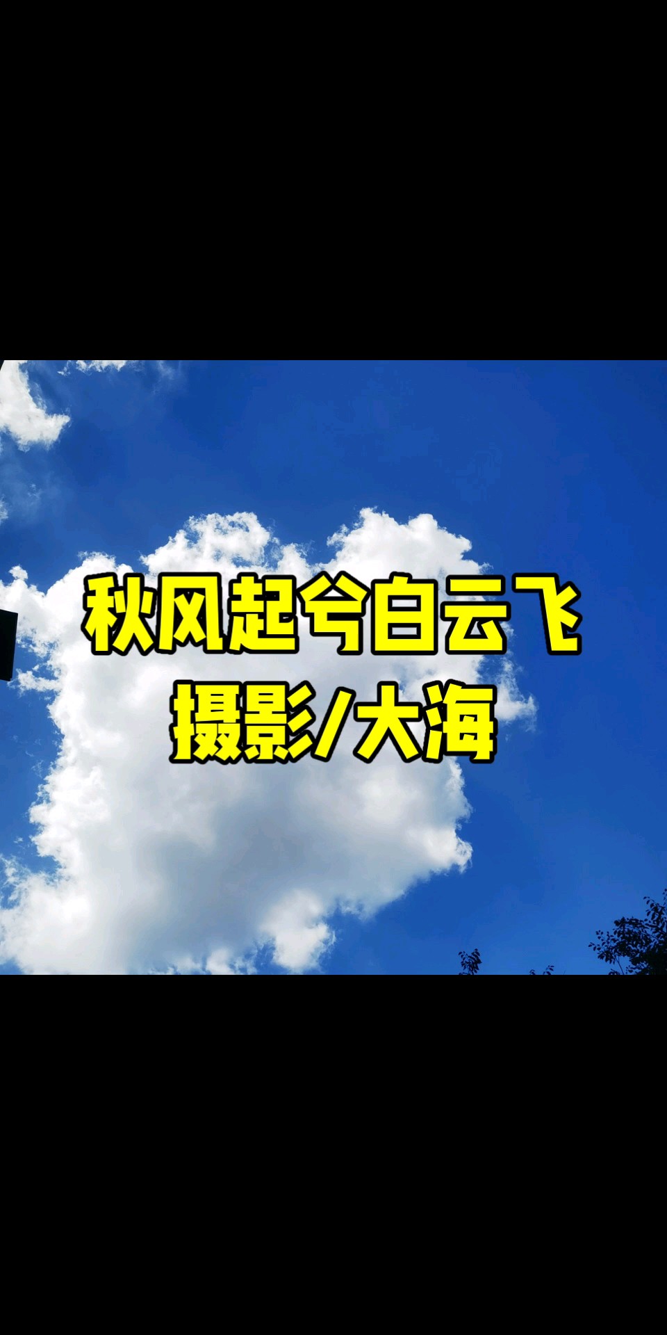 秋风起兮白云飞/摄影/大海