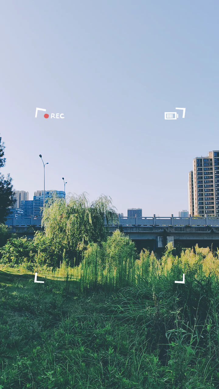 自古逢秋悲寂寥，我言秋日胜春朝闲云数片随风飘一抹秋风铺岁华