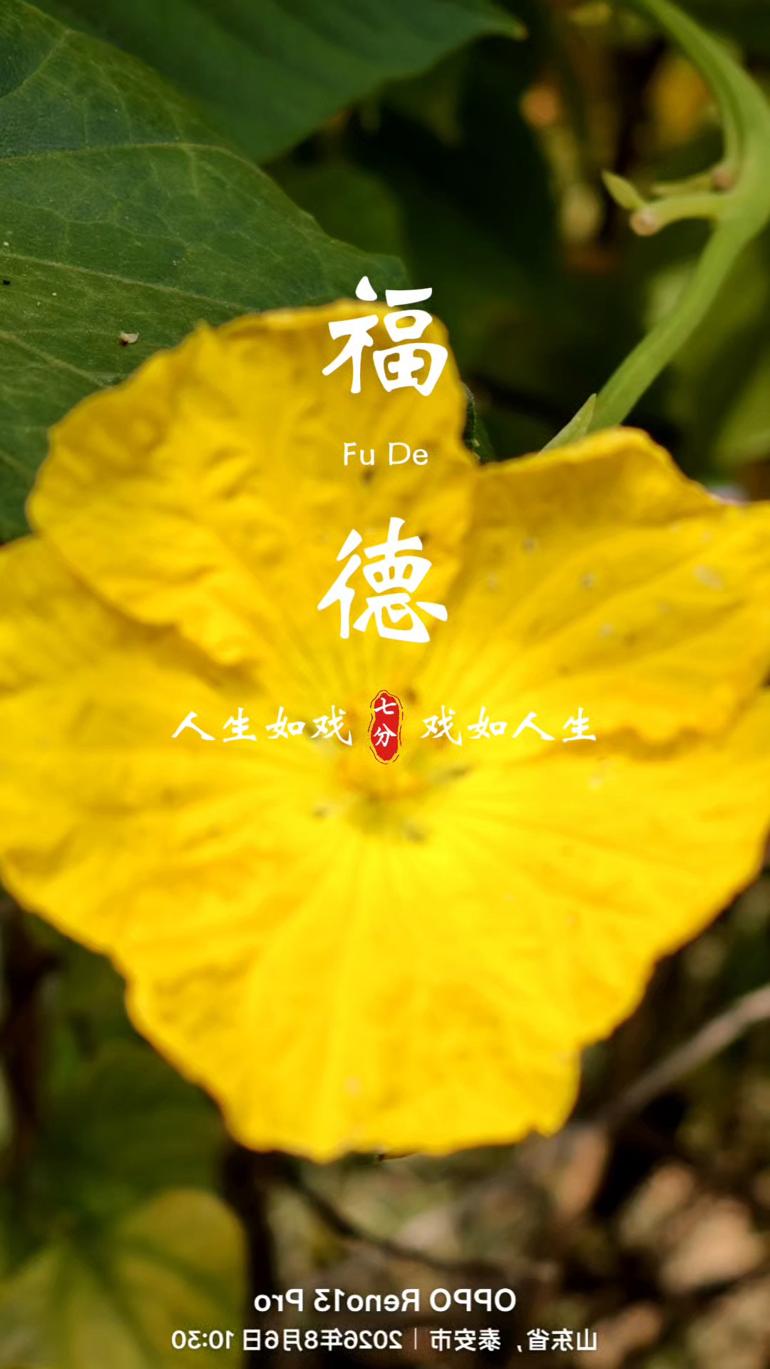 发现生活中的美好