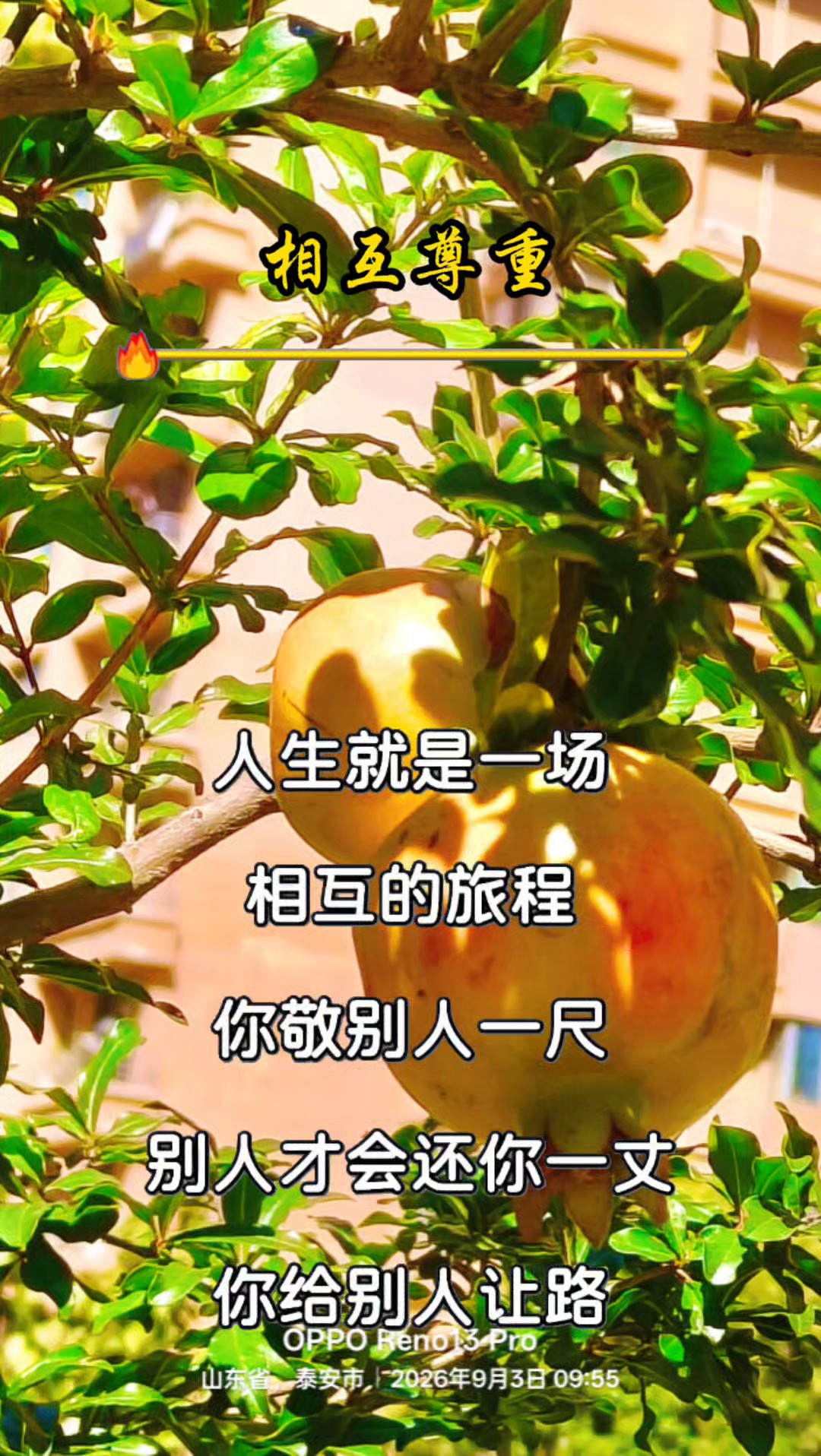 人与人之间要互相尊重