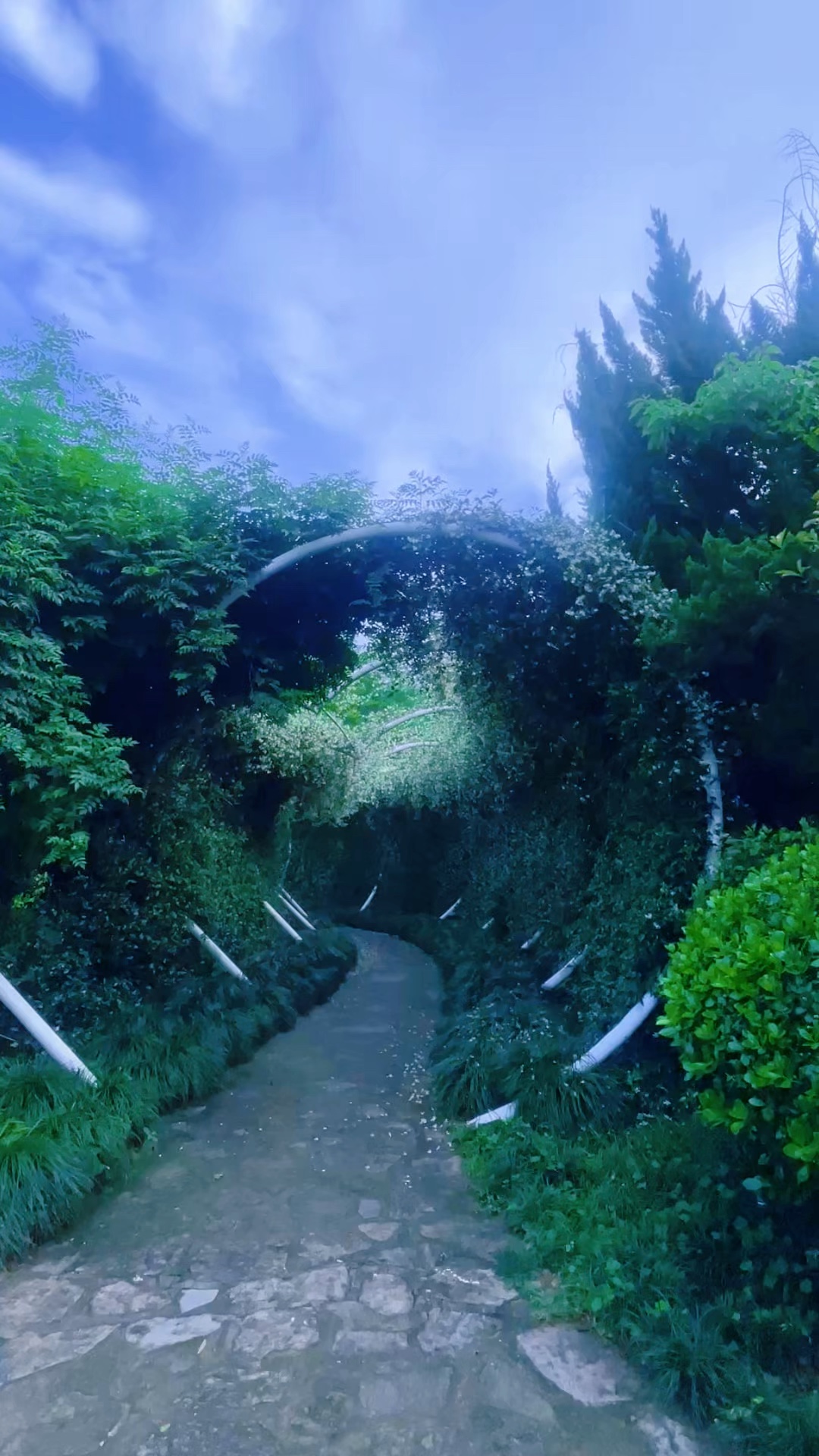 一步入幽径，满目皆清欢