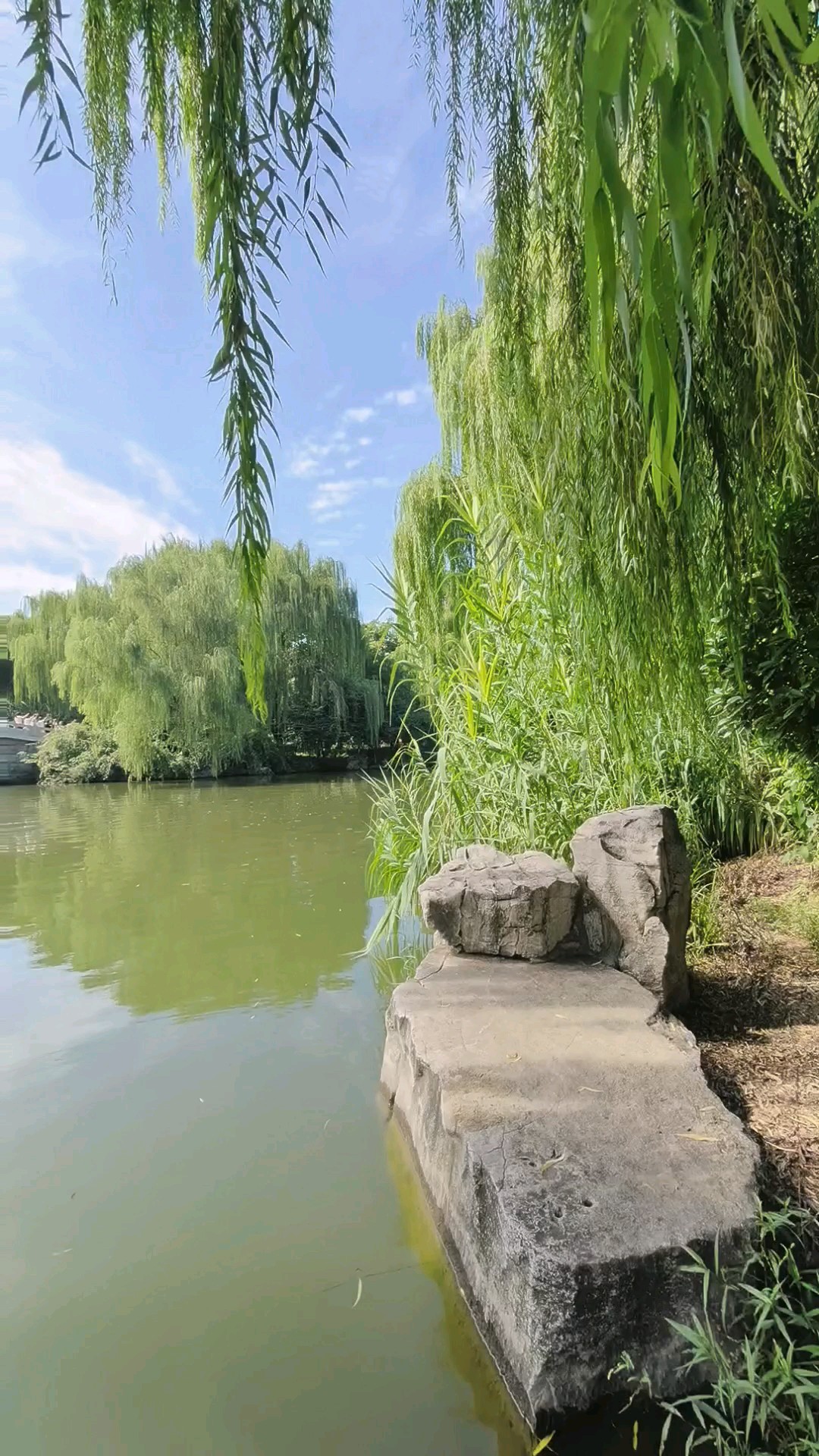 垂柳含烟临碧水，一桥秋影落平湖。/大明湖畔
