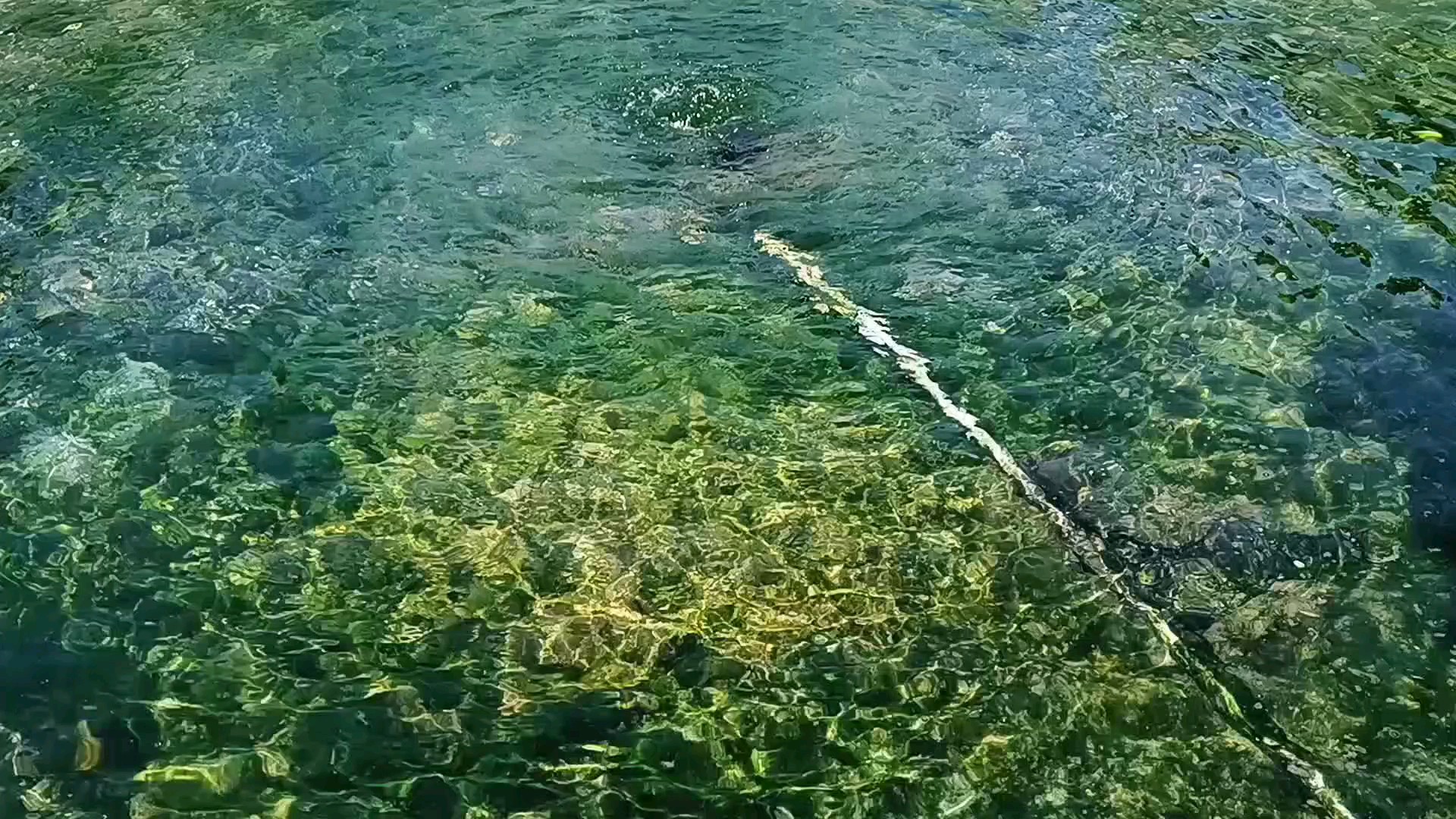 章丘眼明泉