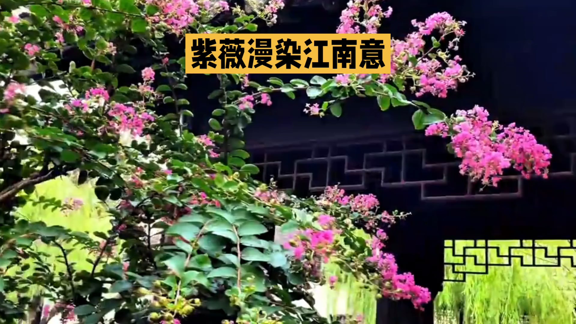 紫薇漫染江南意（AI）