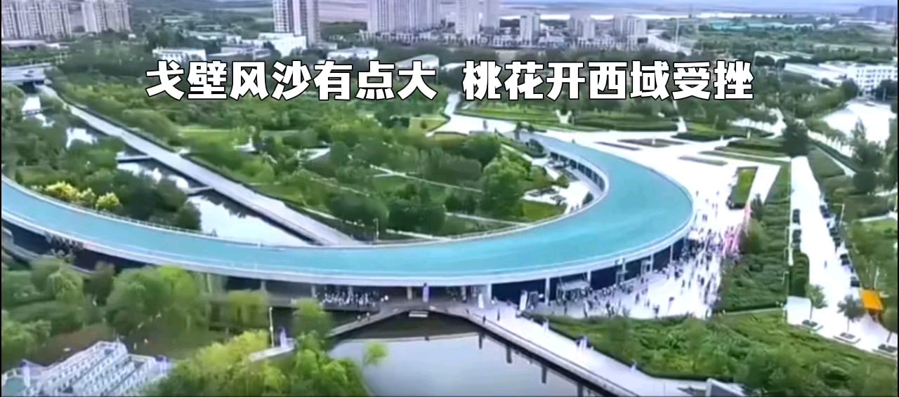 齐鲁巾帼西域征战，女子围甲受挫沪军。