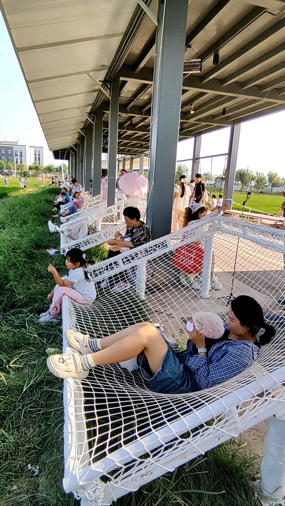 满目稻田翻绿浪，细看株株长的旺。
2026年9月6月下午。