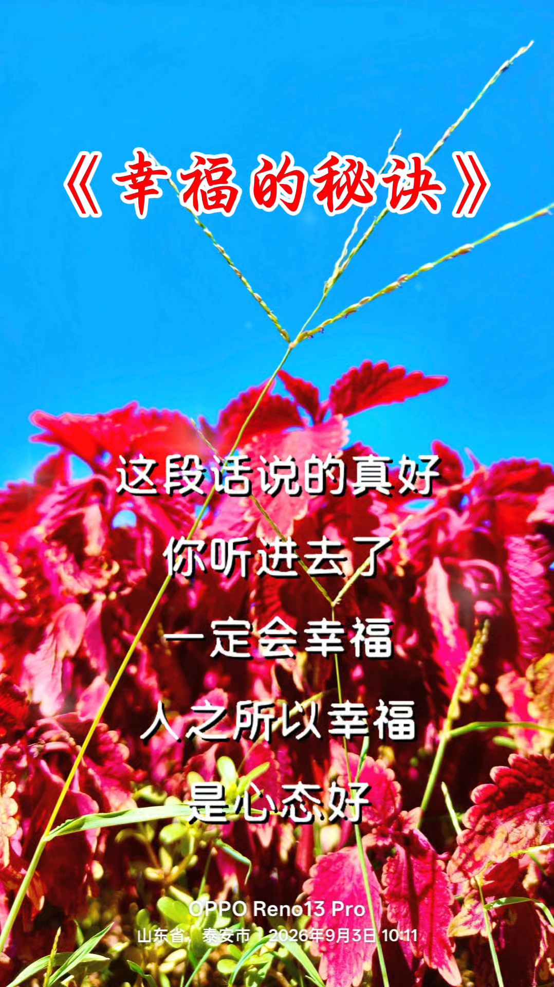 幸福的秘诀
