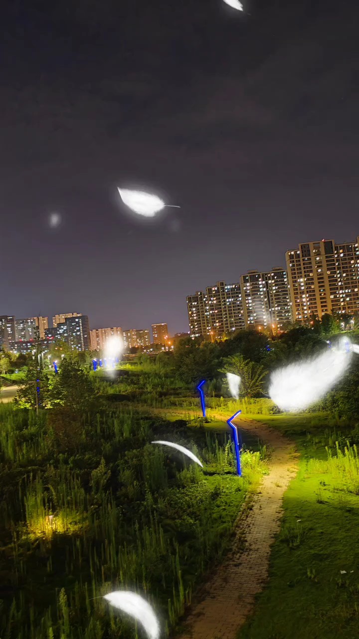 秋天的夜晚星光闪烁宁静而美好，秋虫鸣叫为静谧的夜添了几分生机