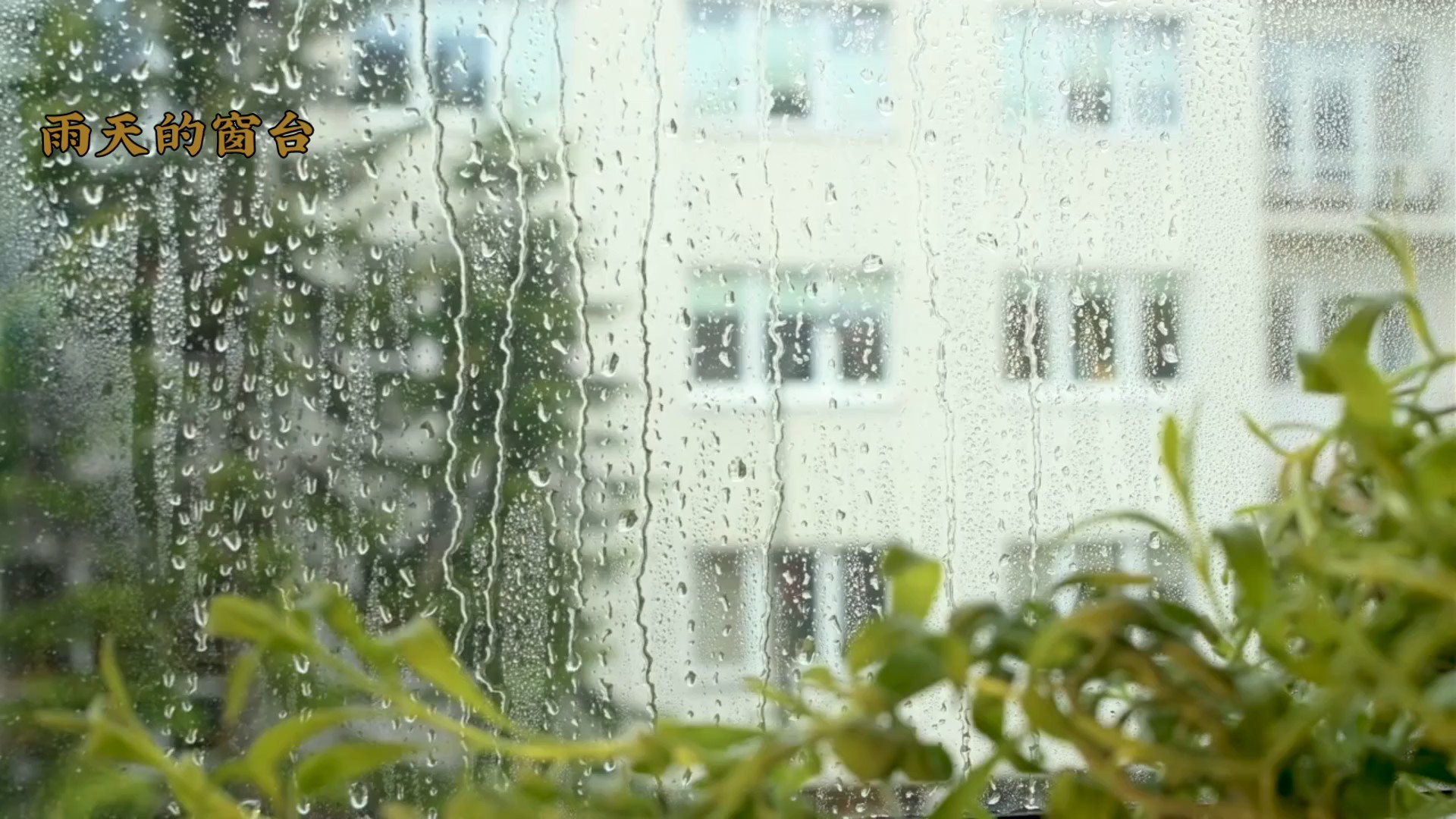 雨天的窗台